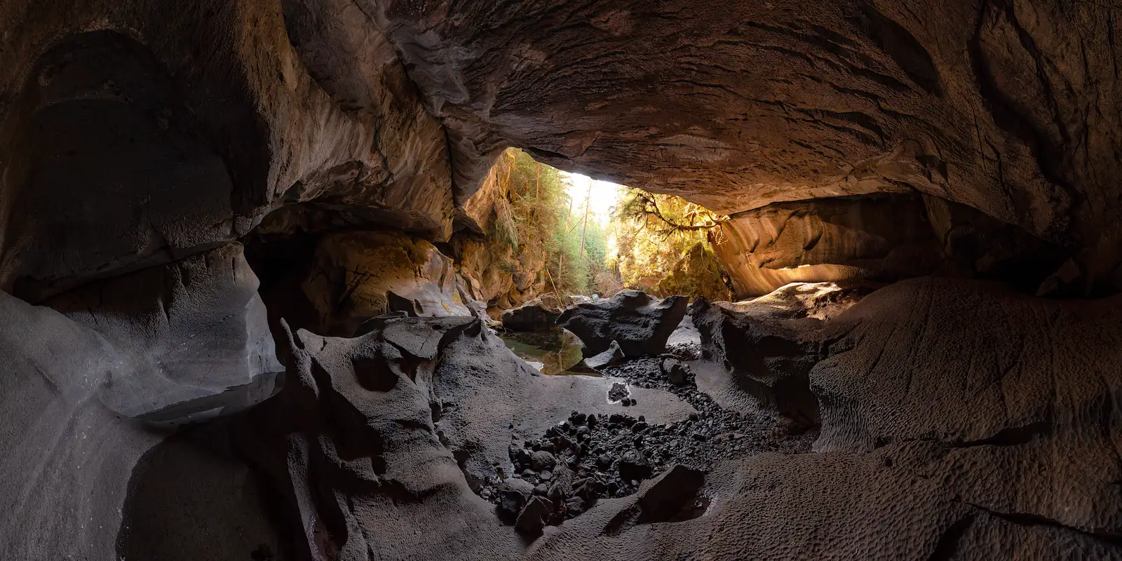 Adventurer - Horne Lake Caves