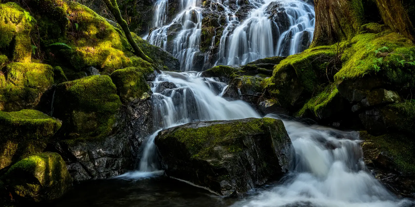 Adventurer - Sooke Potholes