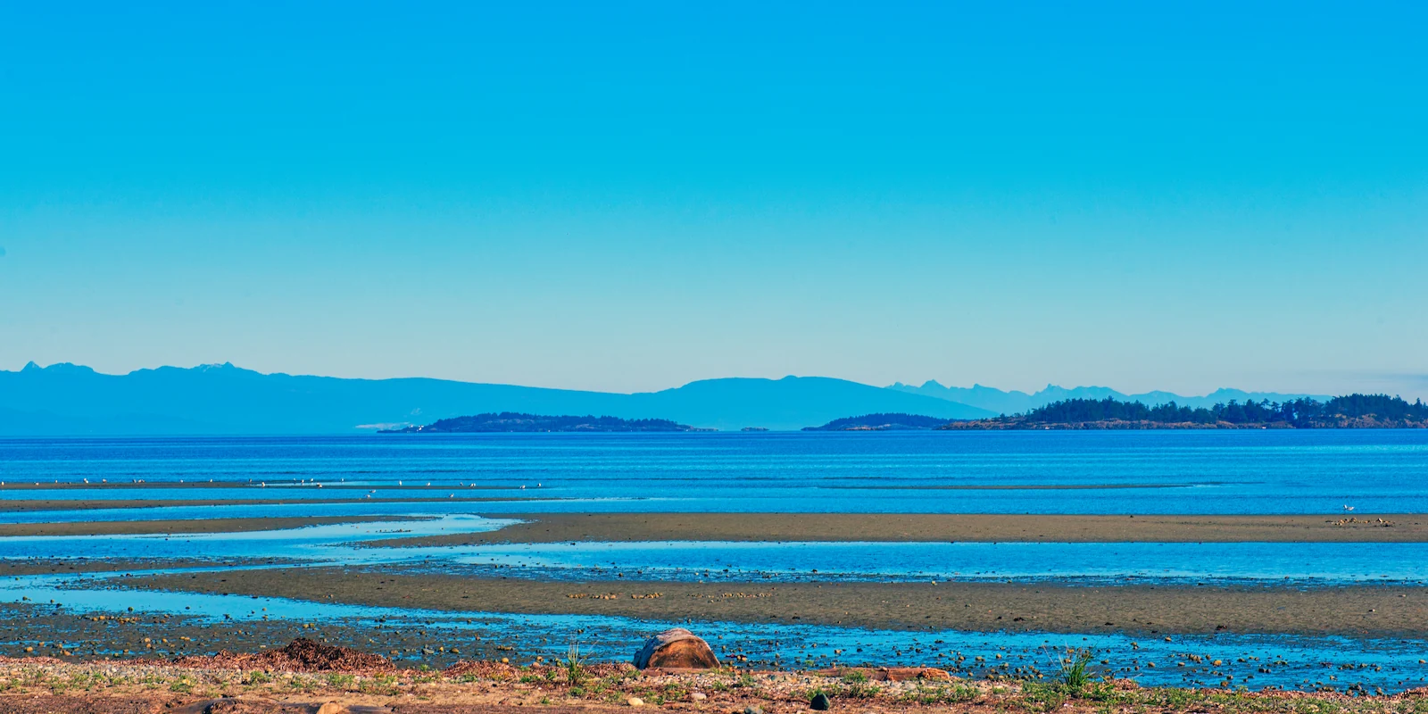 Beachcomber - Rathtrevor Beach Parksville