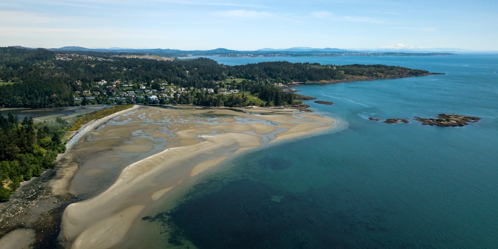 Beachcomber - Witty's Lagoon - Metchosin