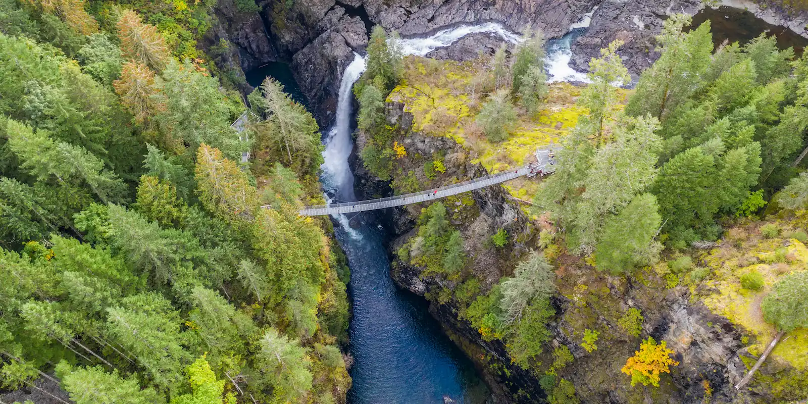 Explorer - Elk Falls Suspension Bridge