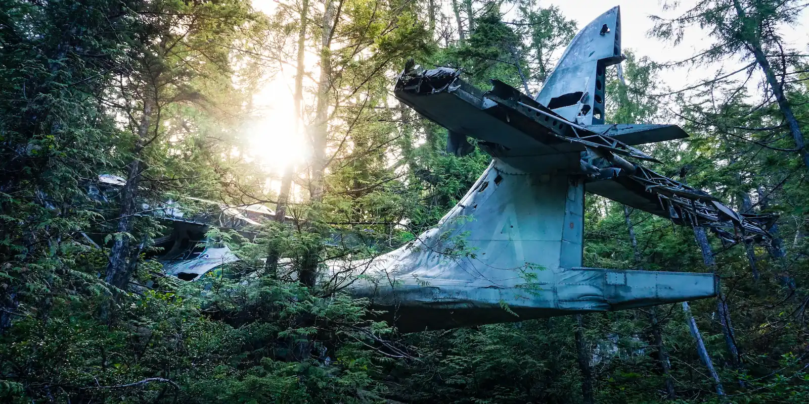 Pathfinder - Canso Bomber Crash Hike -Tofino